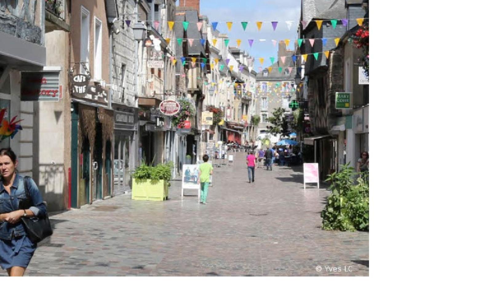 Spacieux T3 Lumineux Dans Quartier Historique Avec Wifi Redon Esterno foto